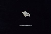 陶片藏品圖，第2張